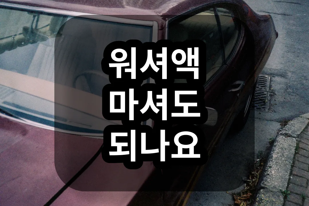 워셔액 성분