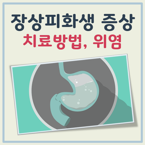 장상피화생 증상, 치료방법, 위염, 완치 가능성 등 대표 이미지