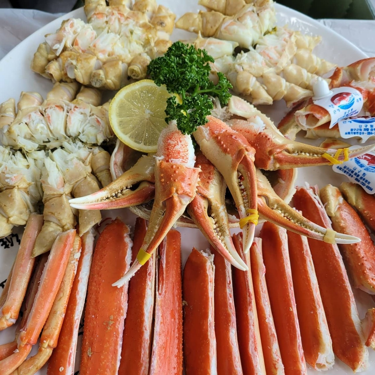 6시내고향 영덕 대게 슛돌이 경우네집