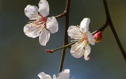 화담숲-예약하기