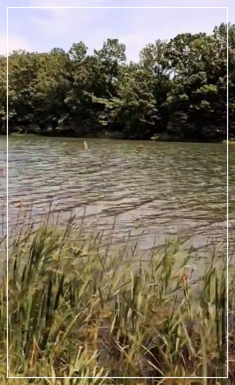 군산 가볼만한곳 베스트10 월명공원