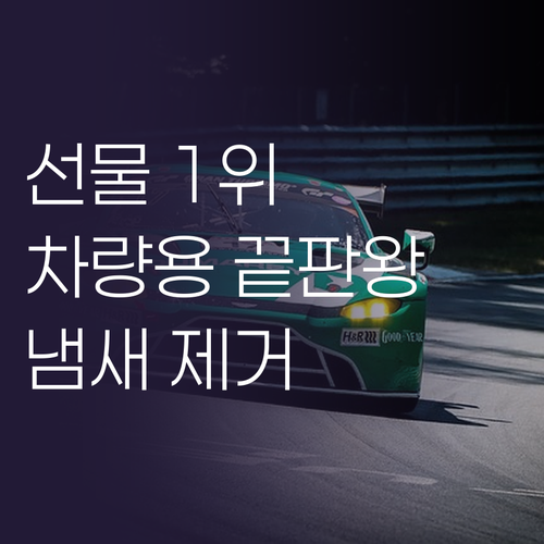 프리미엄 차량용 방향제 제스퍼 에어피..