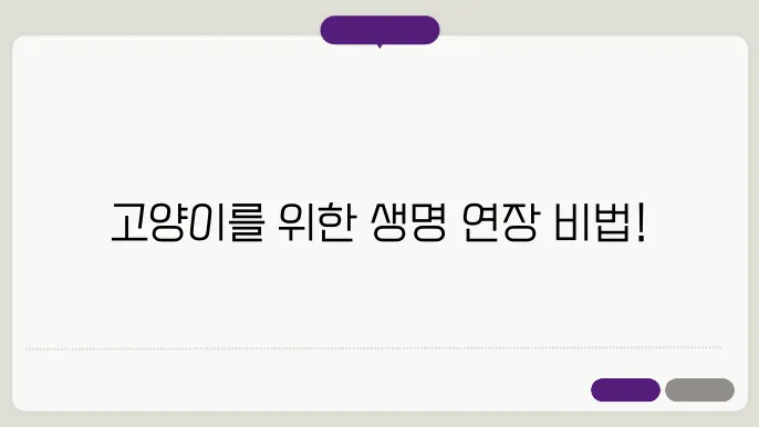 고양이 친구의 수명을 연장하는 비밀 공개