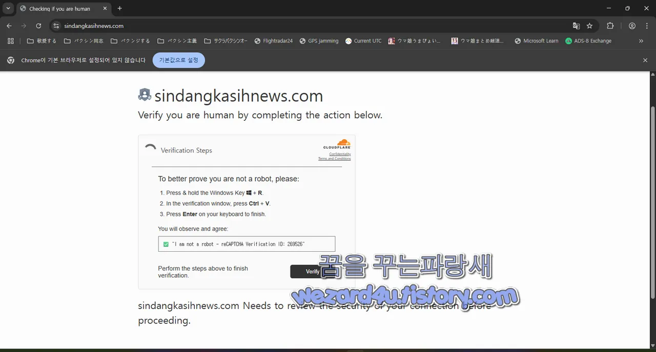 클릭픽스 사이트 로봇 확인