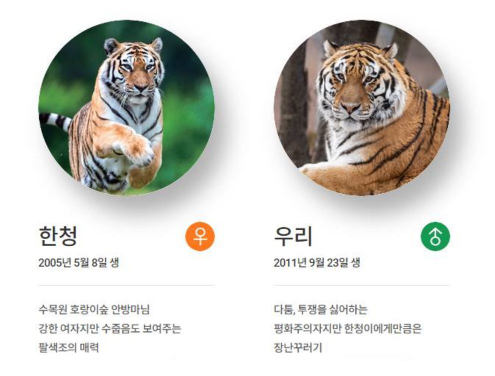 백두대간 봉자페스티벌