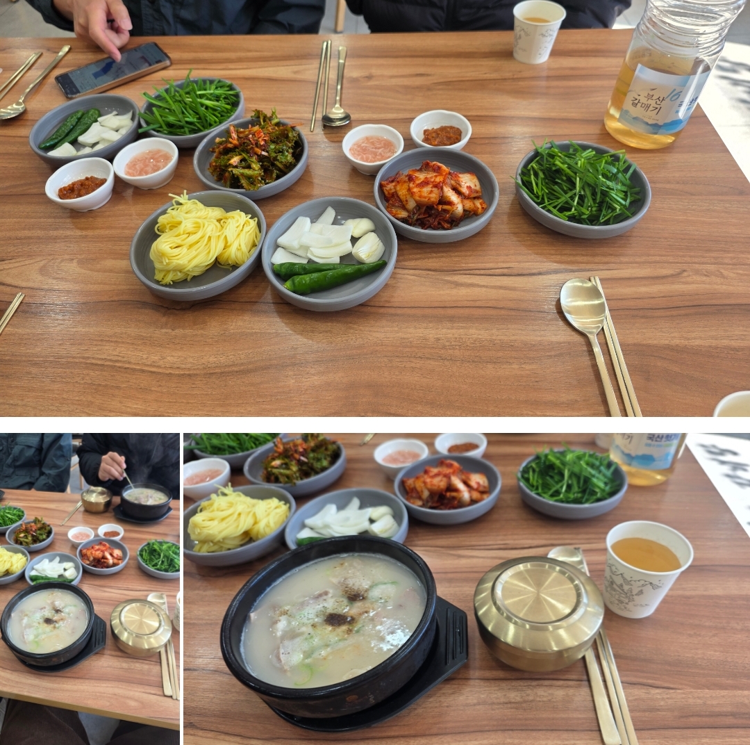 부산 강서구 돼지국밥 - 금촌옥