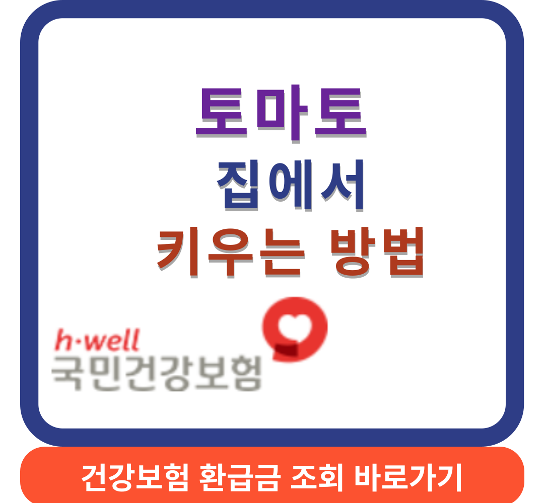 토마토키우기썸네일