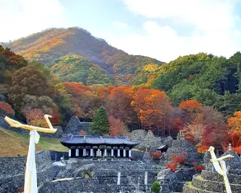 하동 삼성궁_14