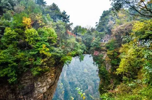 다양한-야생화와-삼림에-뒤덮인-천하제일교