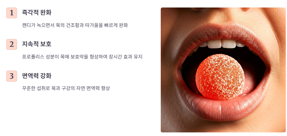 프로폴리스캔디의 핵심 효능 및 효과