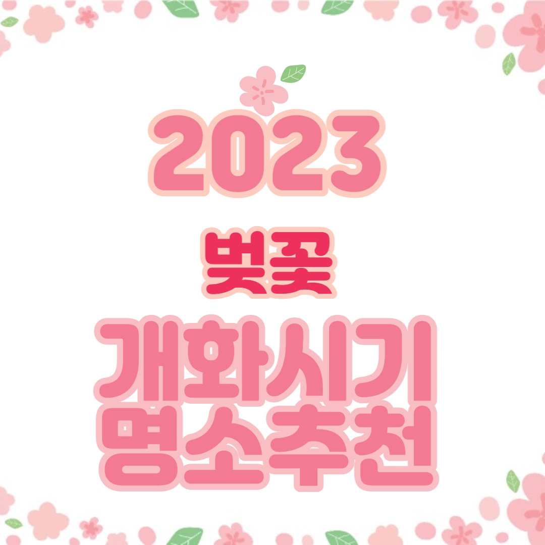 2023벚꽃