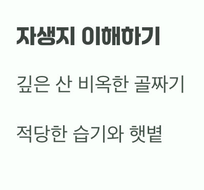 비결 1. 숲속 환경, 그대로 옮겨오기