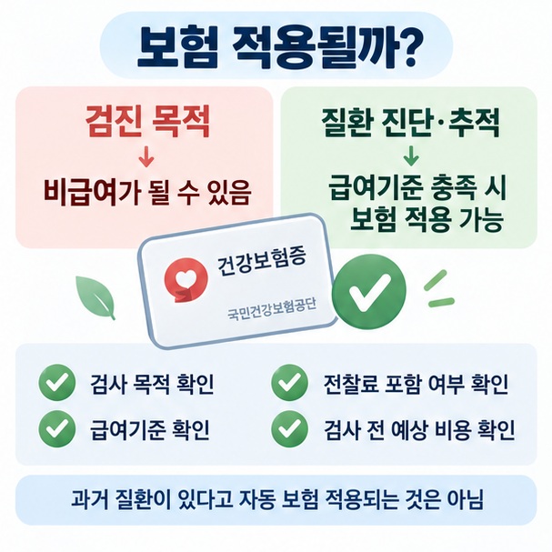 경동맥 초음파 건강보험 적용과 비급여 여부를 확인하는 체크리스트 인포그래픽