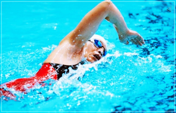 전국수영-수영대회-13