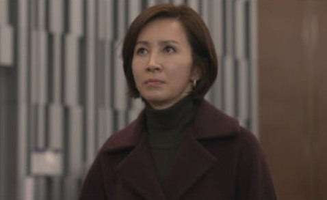 전인화 작품 활동