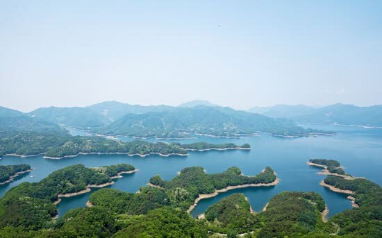 해수욕장 개장일