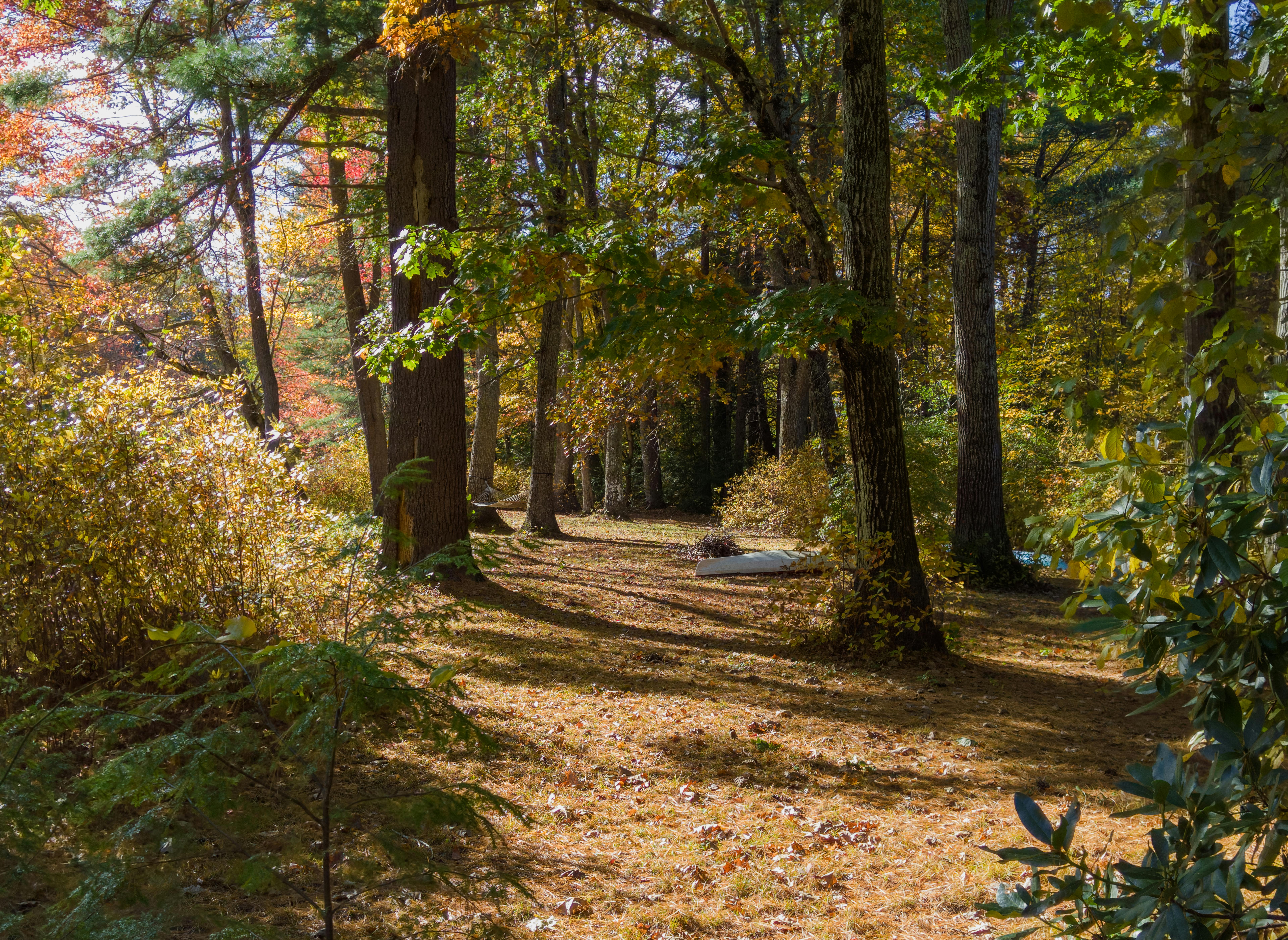 길 한복판에서 시원하게 볼일 보는을 상징하는 이미지