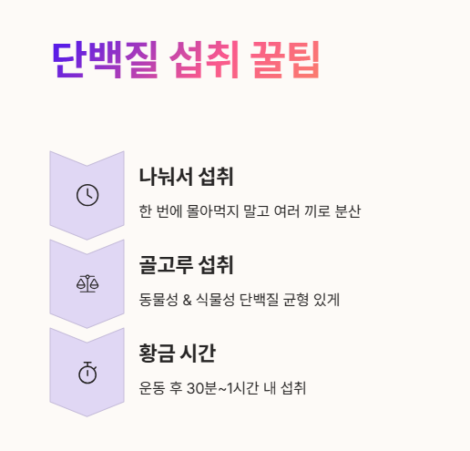 단백질 섭취 꿀팁