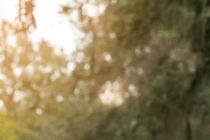 출산가구 혜택 주거비 지원