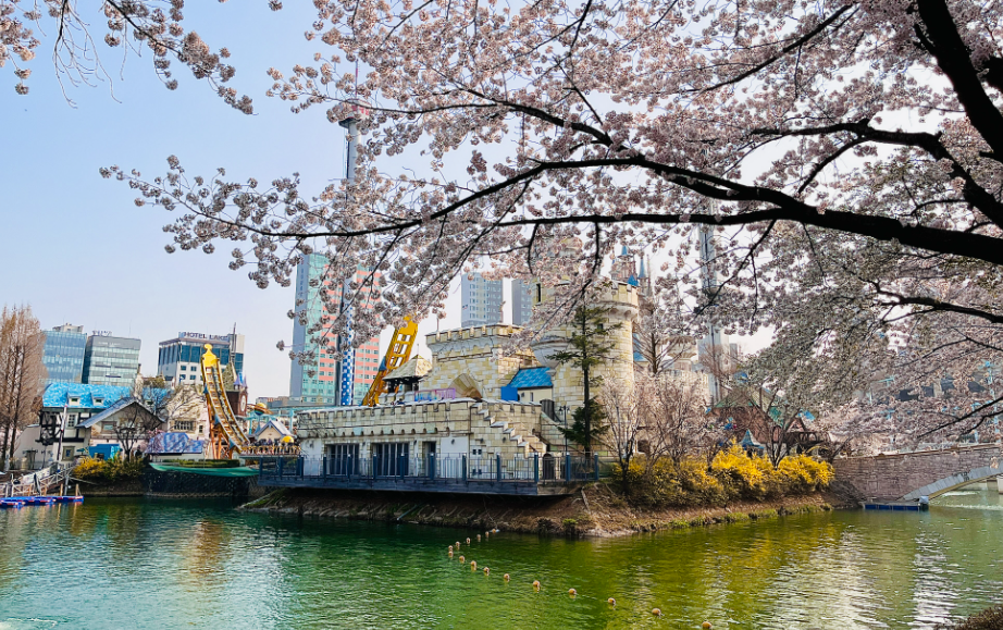 석촌호수 벚꽃축제1