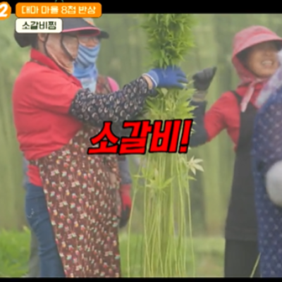 백종원 백패커2 10회 소갈비찜 다시 보기 레시피