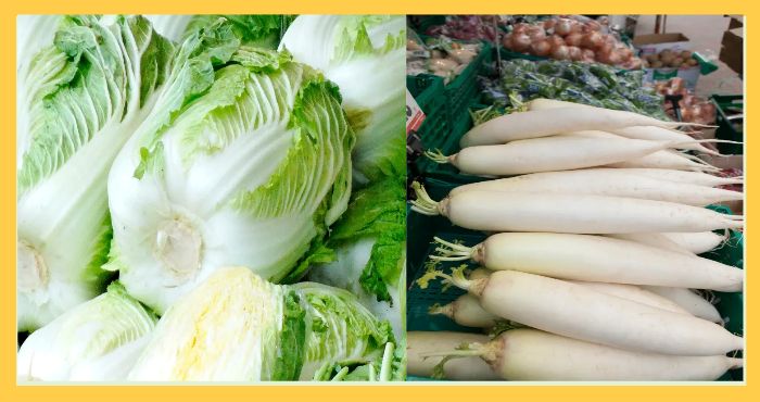 배추와 무가 나란히 진열된 사진으로, 장마철 가격 변동이 큰 대표적인 채소류를 상징.