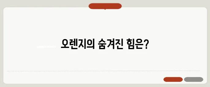 오렌지 효능 면역력 높이는 비결 비타민C 섭취 끝판왕