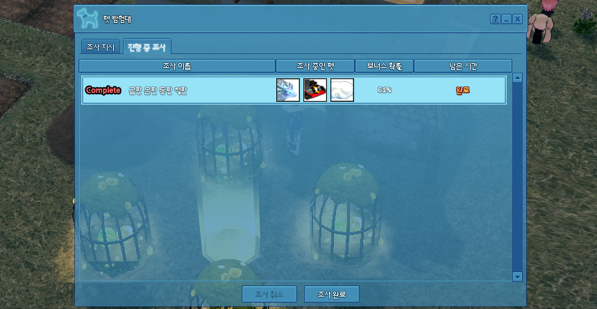 마비노기 펫 탐험대