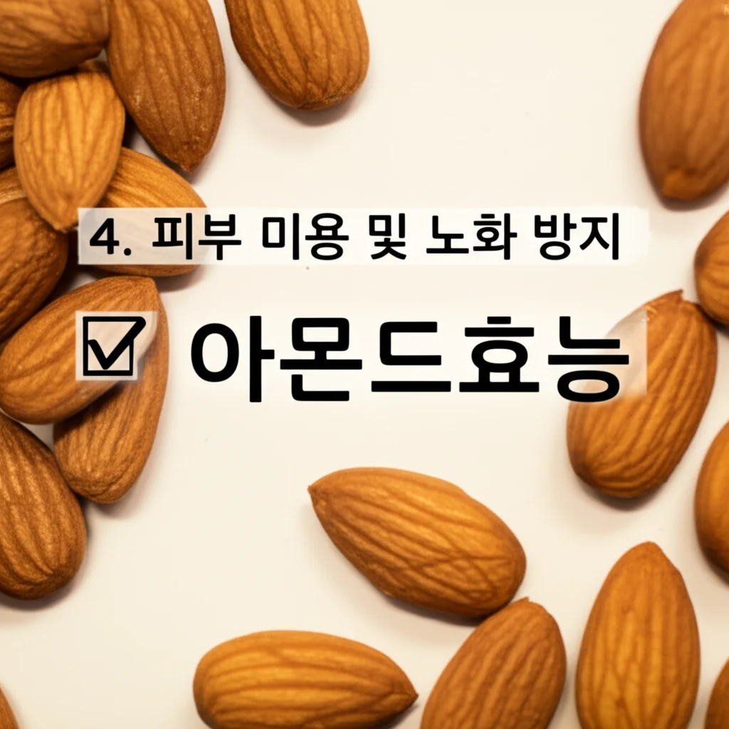 아몬드효능_skin-anti-aging