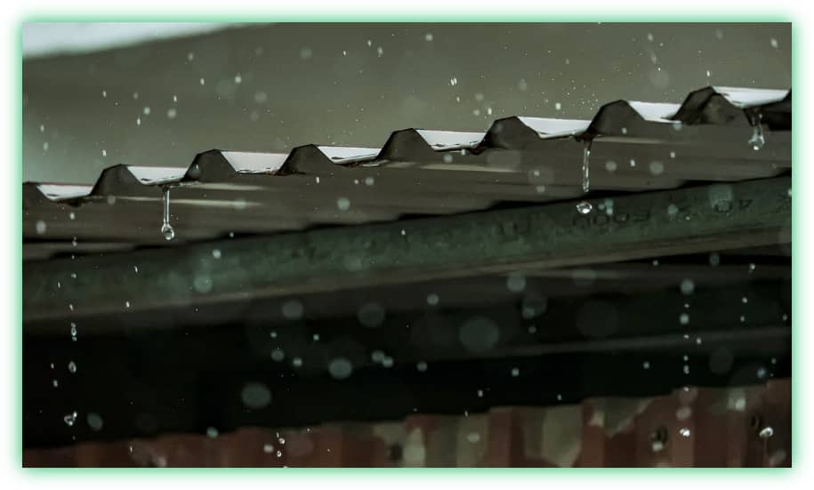 장마철 집안의 습기와 곰팡이 방지&amp;#44; 관리 및 제거 방법