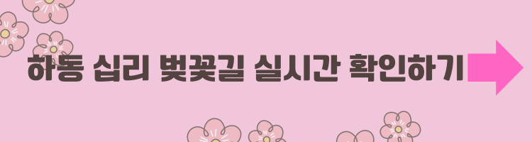 하동 십리 벚꽃길 실시간 확인하기