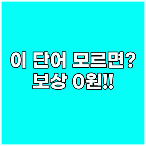 해외에서 도난 신고할 때 보험 보상을..