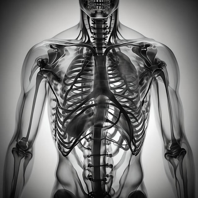 알칼리성 음식 종류와 섭취방법