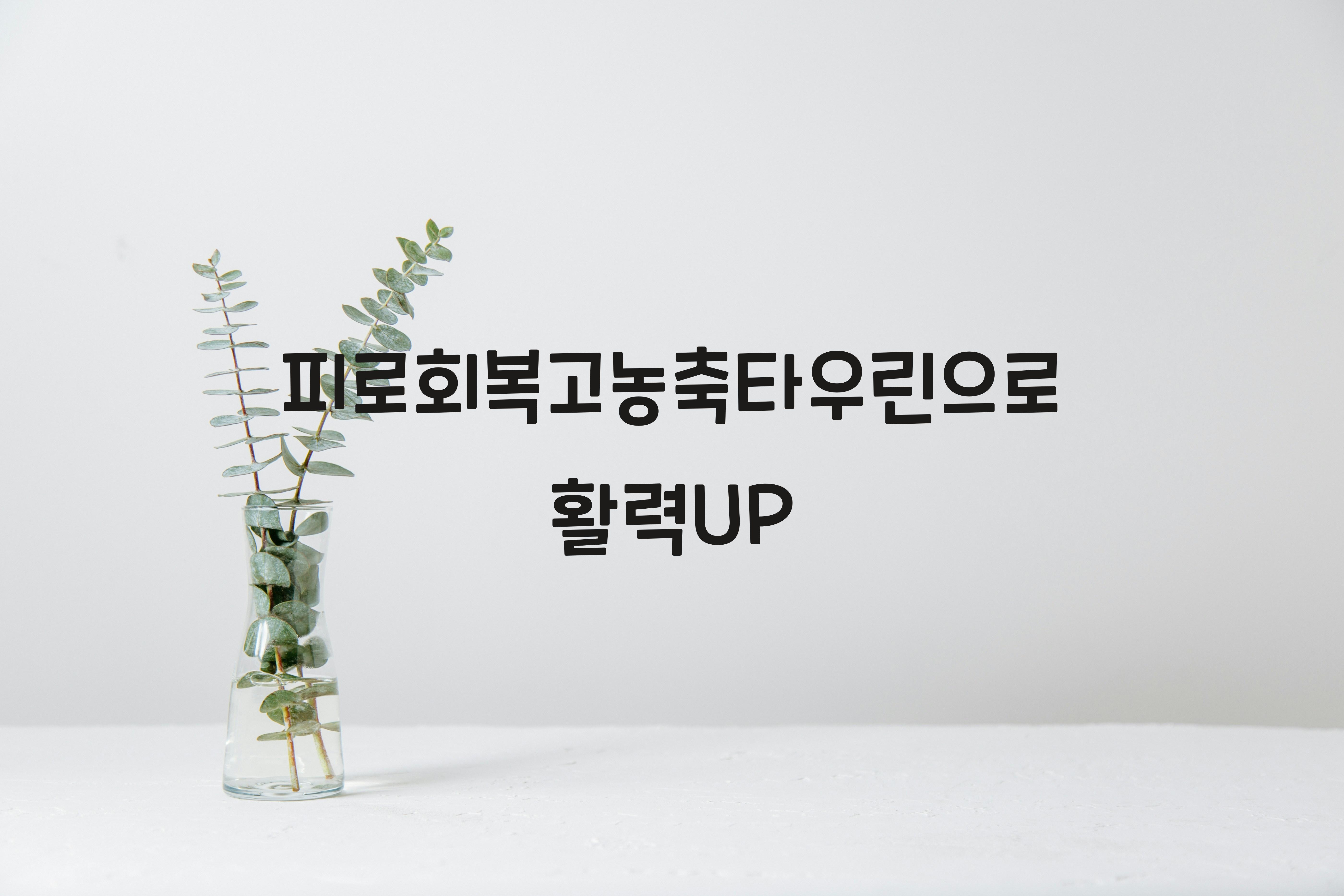 피로회복고농축타우린