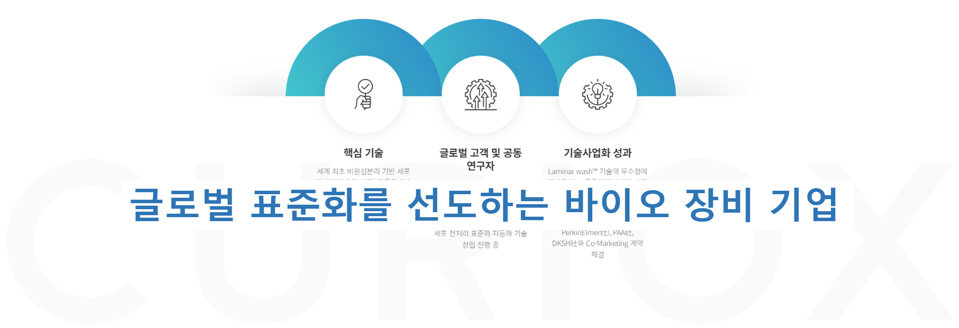큐리옥스 썸네일