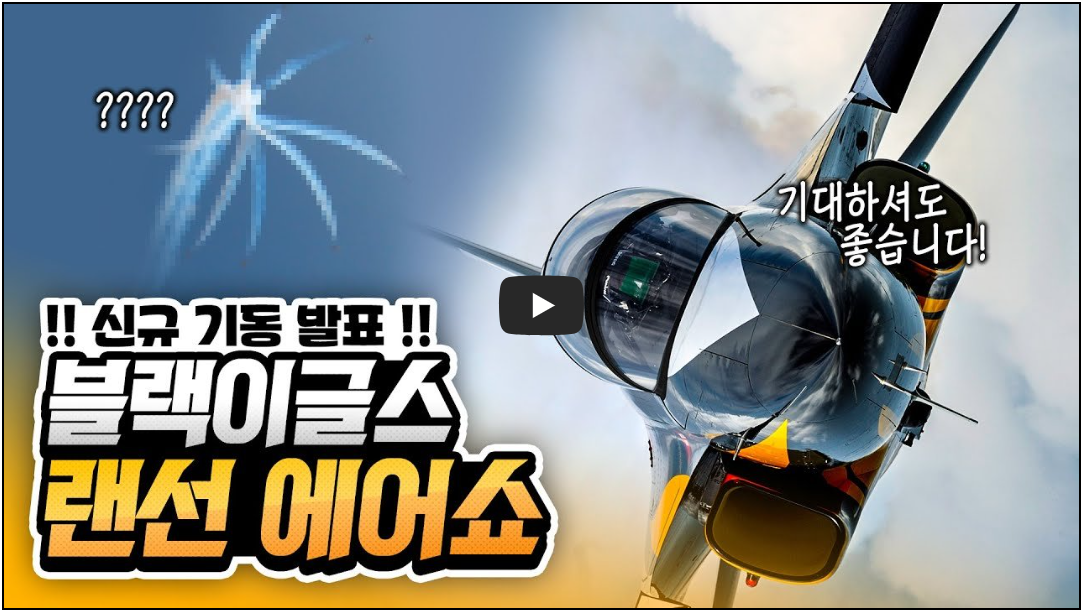 블랙이글스 에어쇼 장면