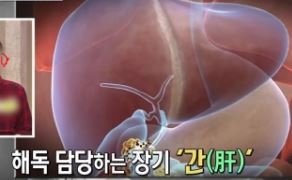 새싹보리먹는방법