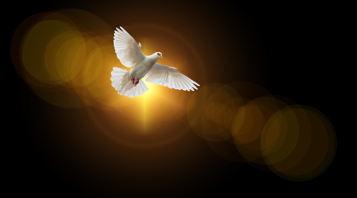 디모데전서 성경퀴즈 예상문제