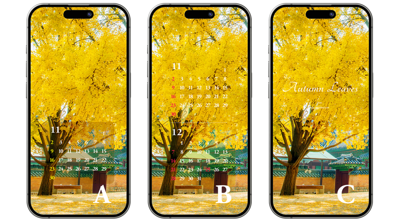 03 경복궁 노란색 단풍 ABC - 2025년11월 아이폰배경화면