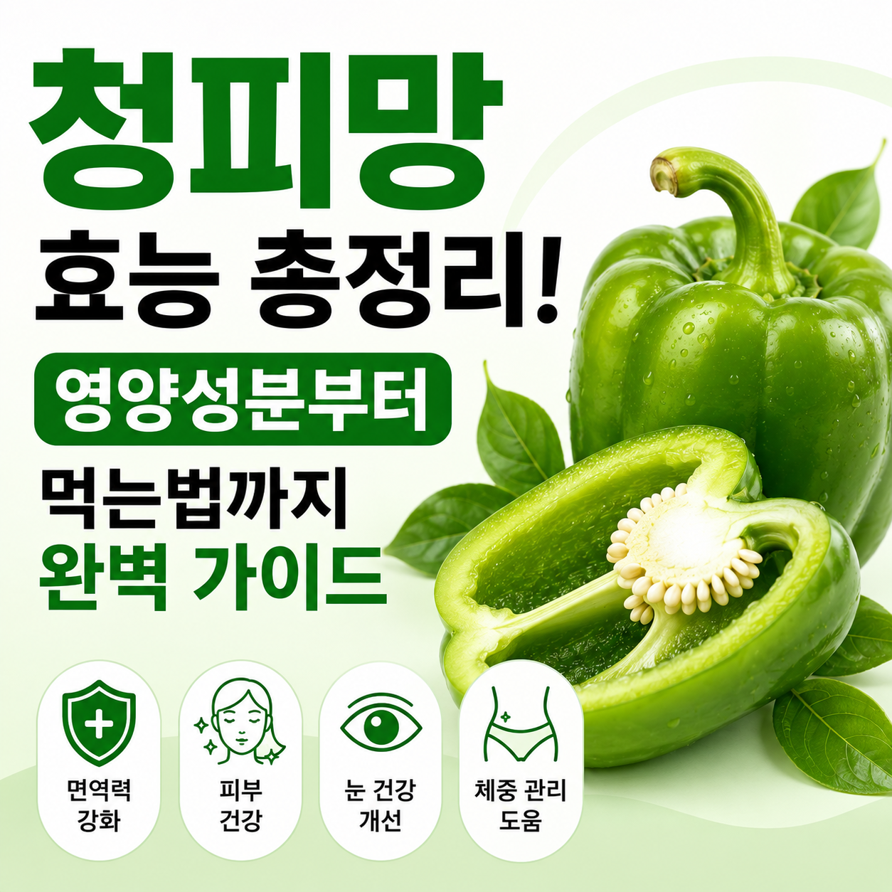 청피망 효능