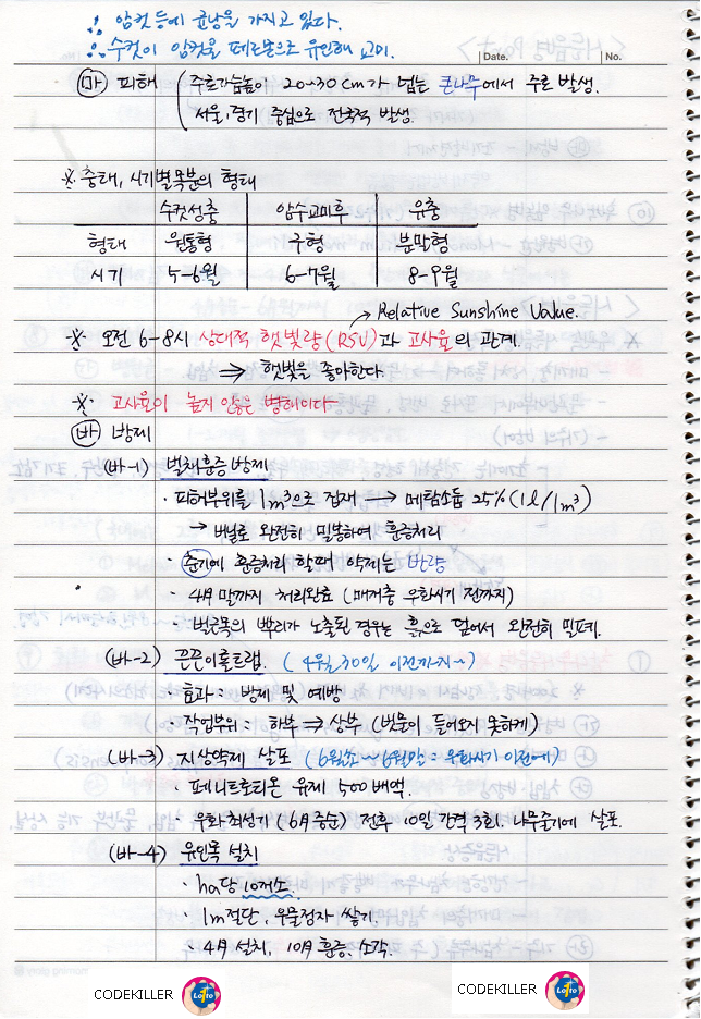 참나무 시들음병