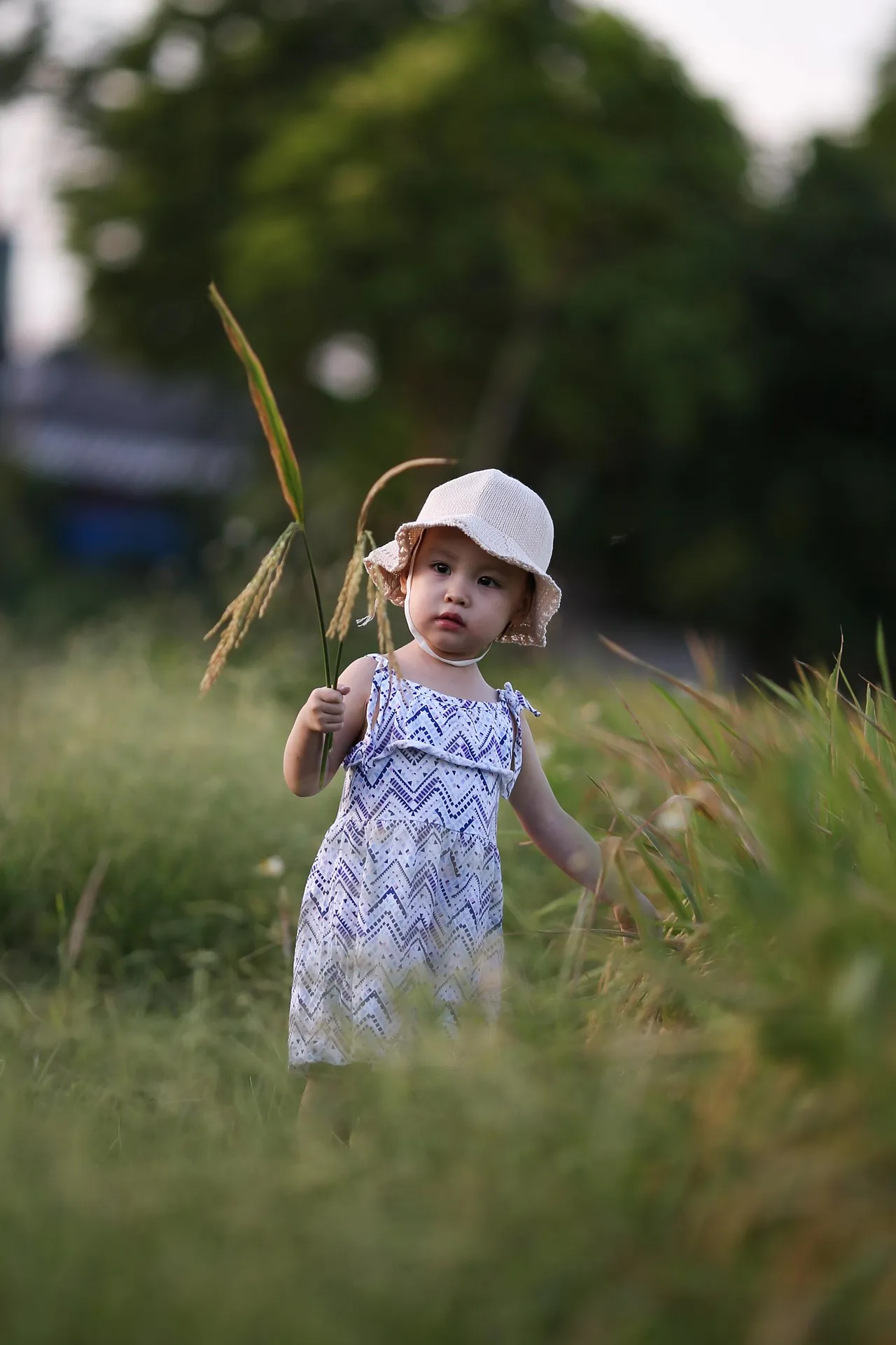 입양가정 지원금 신청자격과 신청방법 알아보고 바로 신청하기