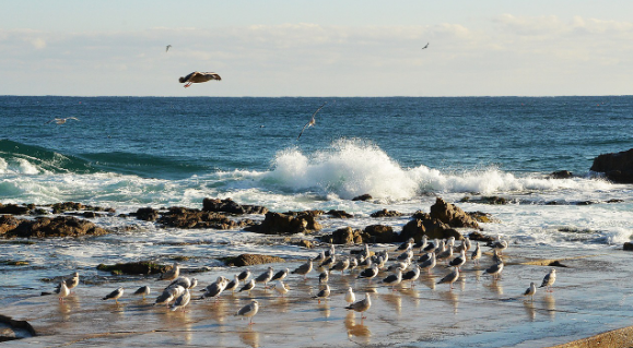 바다 보며 떠나는 동해선 기차 여행