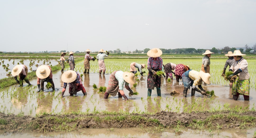 Myanmar