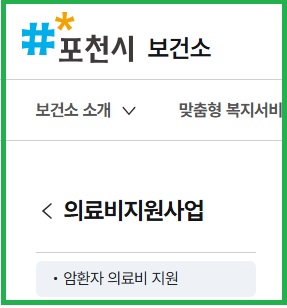포천시 보건소 의료비지원사업