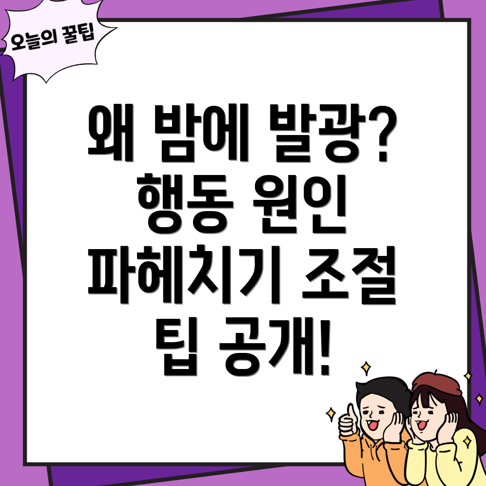 반려동물의 야행성 행동