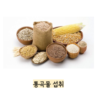 BMI-지수-계산법
