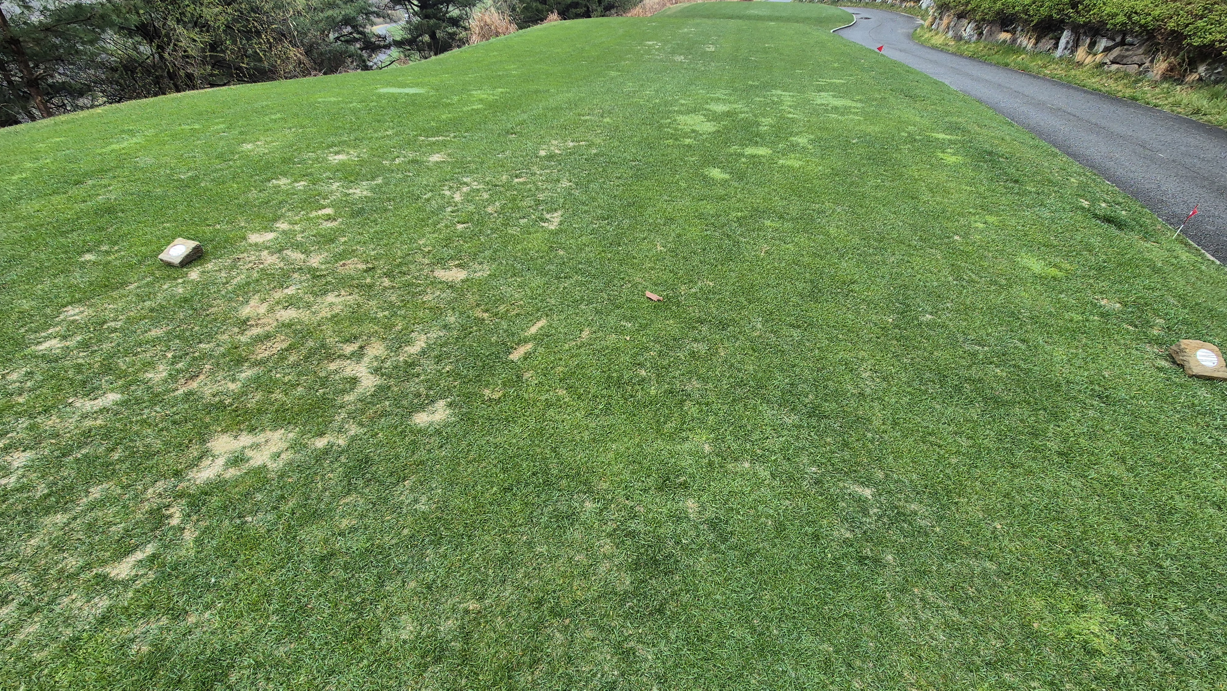 레인보우힐스cc 동-남 코스 티잉구역 상태