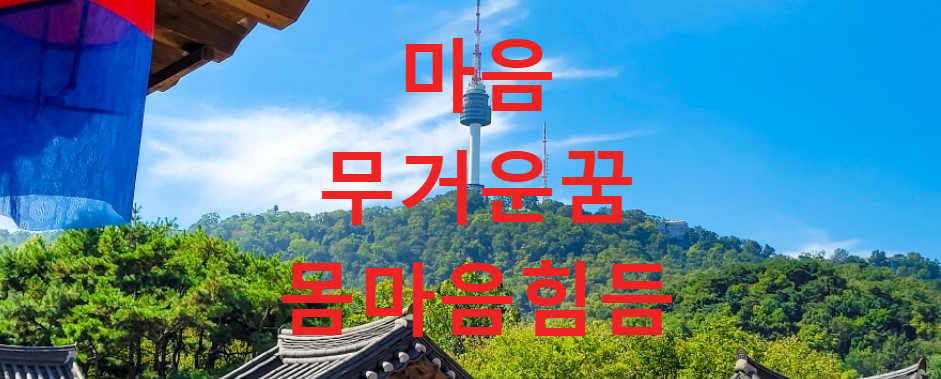 꿈과건강