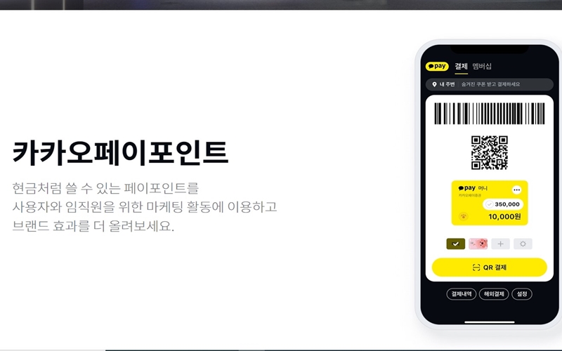 카카오페이 포인트를 소개하는 페이지
